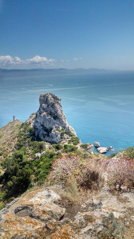 Alfieri B&B Cagliari Bagian luar foto